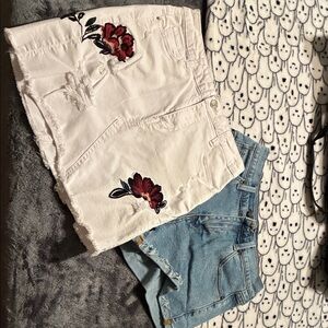 Angel Kiss Skirt and Fashion Nova Shorts